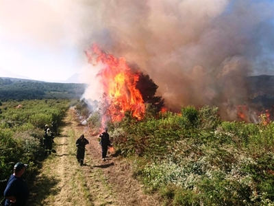 Controlled burning to prevent disaster